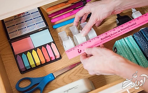 هر احساسی روی چه اندامی اثر دارد؟